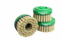 Escovas Diamantadas Ferratti