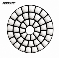 Discos Diamantados de Polimento FERRATTI