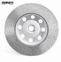 Disco Prato Diamantado Desbaste Liso 100mm Rosca M14 Lixadeira Grão 60 / Grão 120 - FERRATTI
